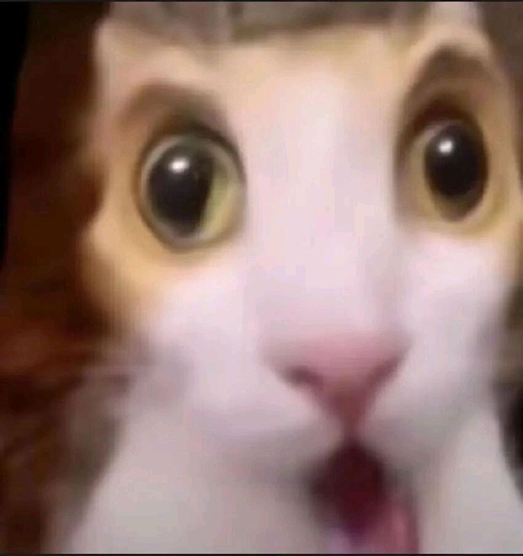 via 8号沙雕网友via 8号沙雕网友