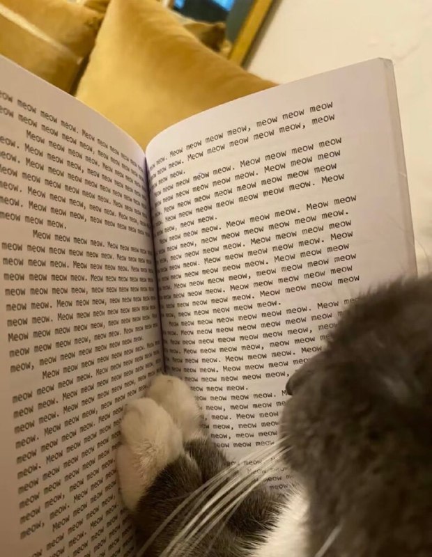 Cats holy book