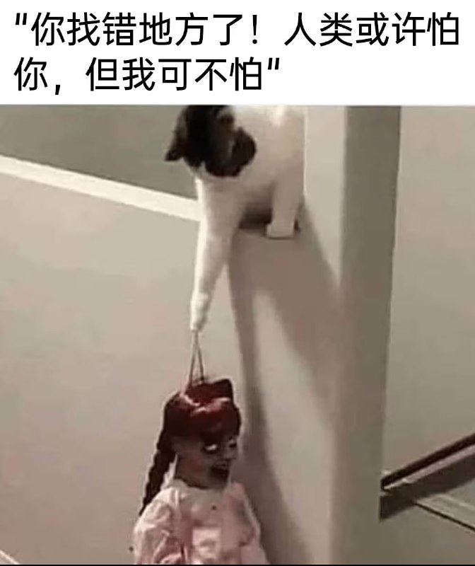via 7号沙雕网友