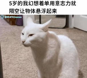 给我再加二十年的