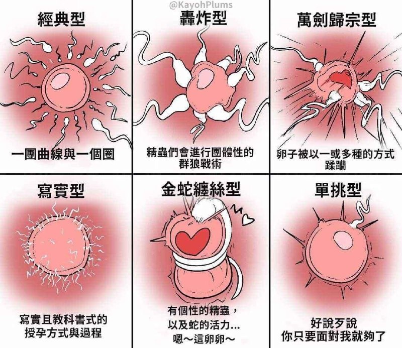 from 猫猫窝🐈🐈‍⬛