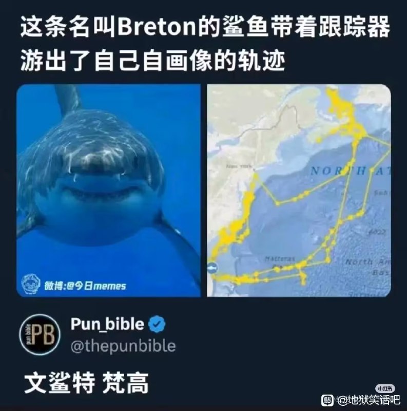 via 油菜花终结者