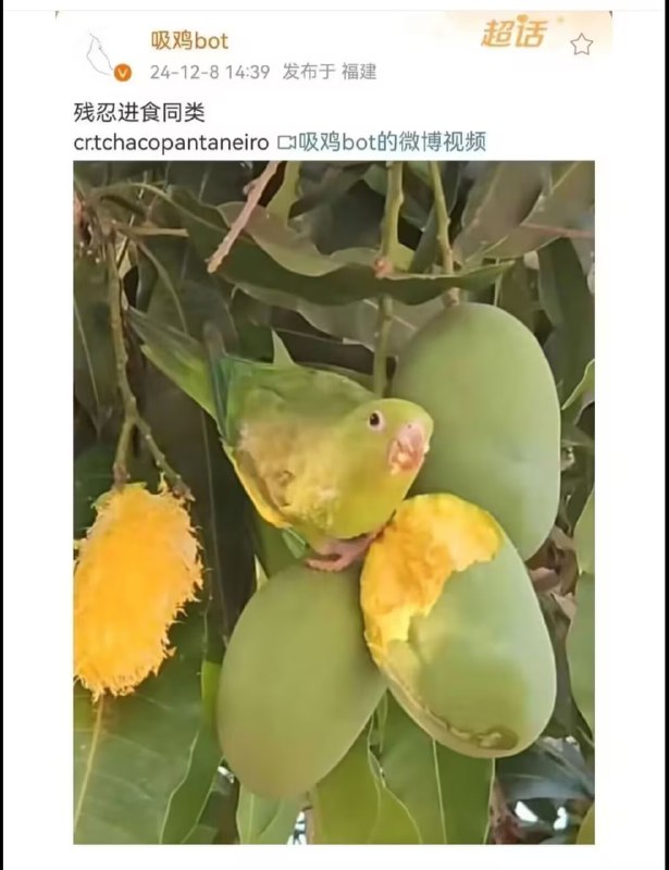 via 7号沙雕网友