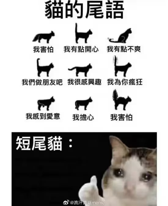 via 7号沙雕网友
