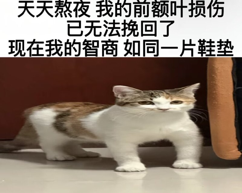 via Mr.Yan