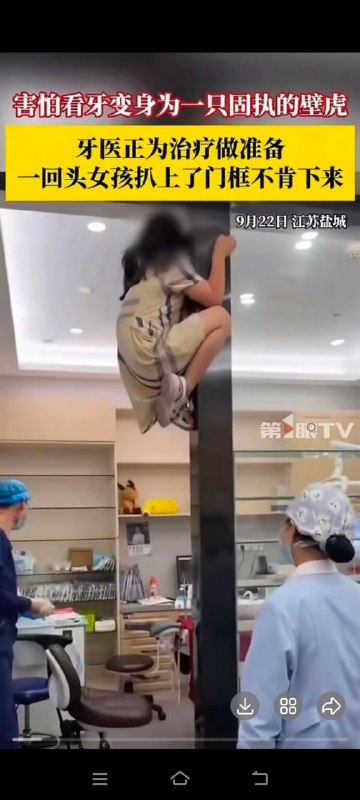 😧from 平壤卫视
