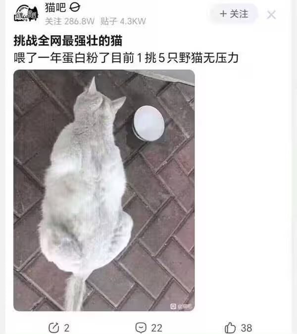 via 7号沙雕网友
