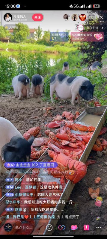 via Hua Hua