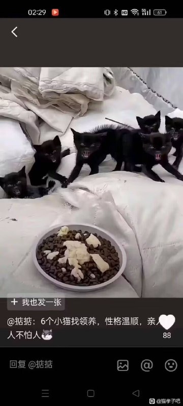 via 鲨鱼辣辣辣辣辣辣辣辣辣辣辣辣辣辣辣辣椒