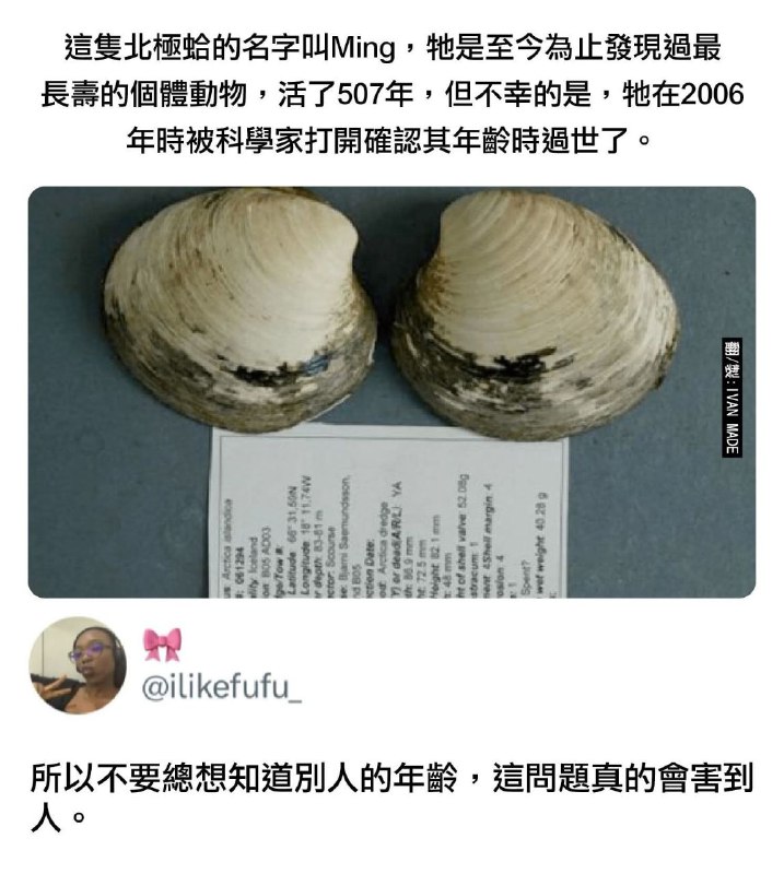from 什麼都來點 via DECADE
