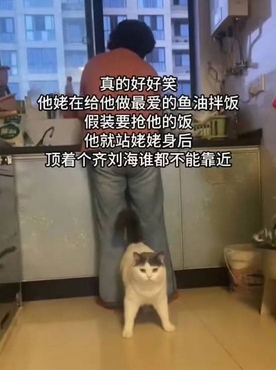 via 7号沙雕网友