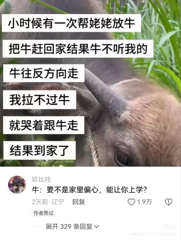from 什麼都來點 via DECADE