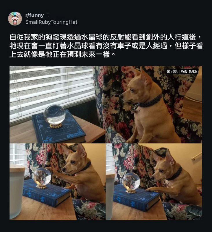 from 什麼都來點 via DECADE