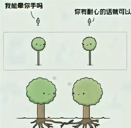 via 6号沙雕网友审核注