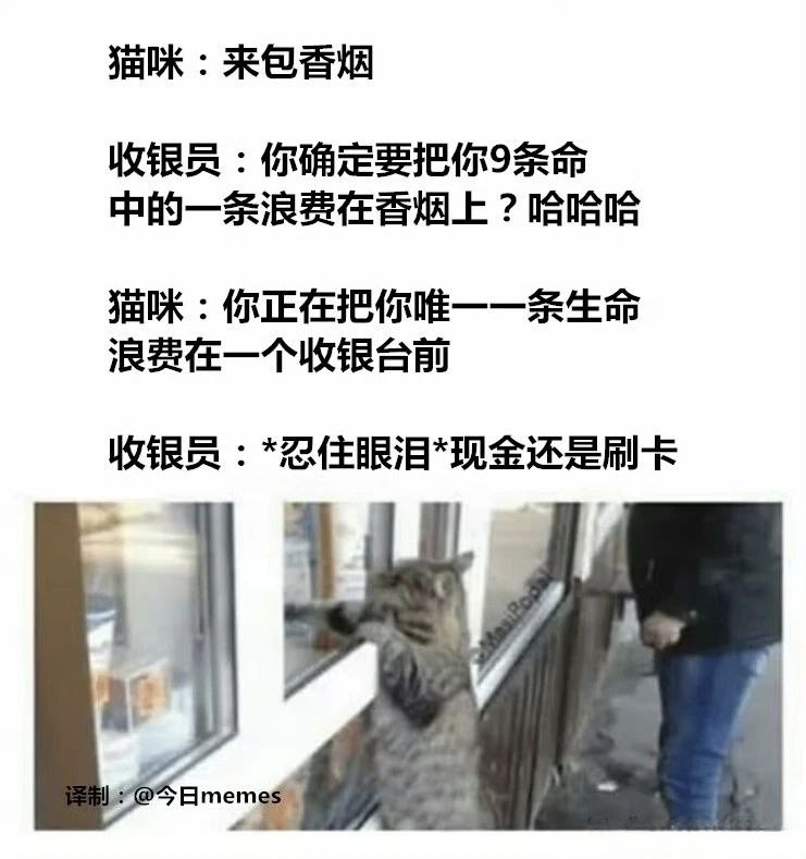 这年头猫都会抽烟了我也会喵～from 二刺猿日常