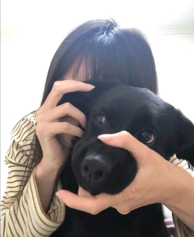 via 犯罪嫌疑人张某