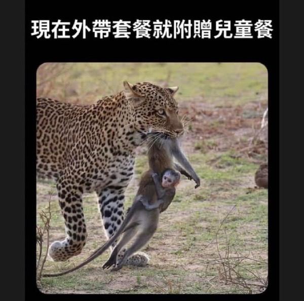 via 每日提肛小助手 今天你提了嘛
