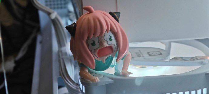 from 平壤卫视from 平壤卫视