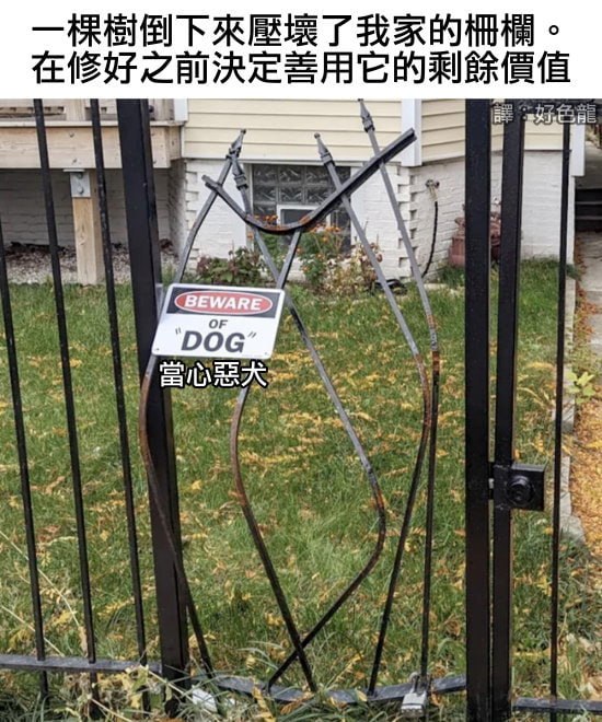 via 油菜花终结者