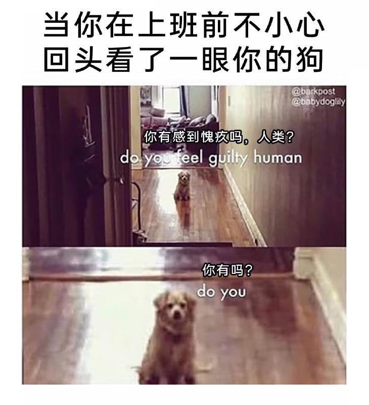 via 7号沙雕网友