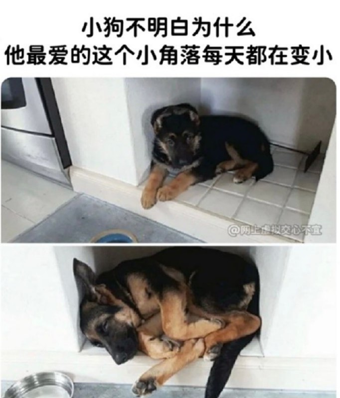 via 每天只睡23h