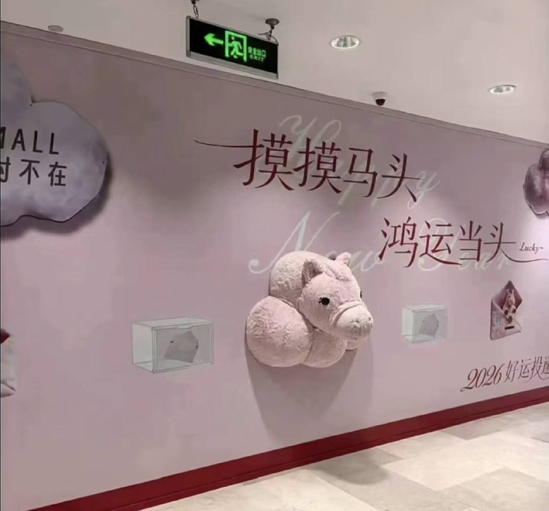 via 犯罪嫌疑人张某