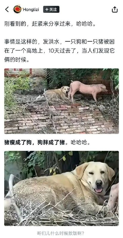 via 野狐 說纏