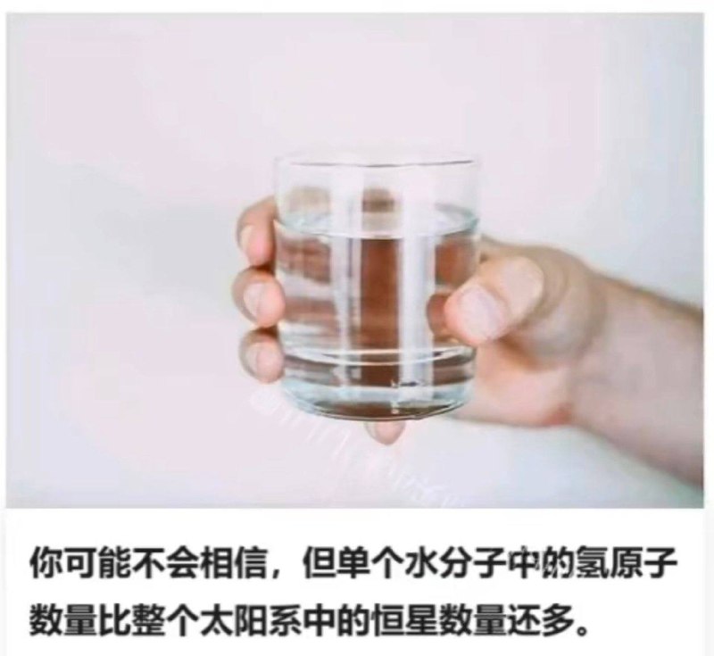 废话文学