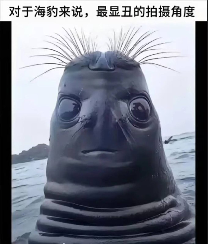 via 犯罪嫌疑人张某