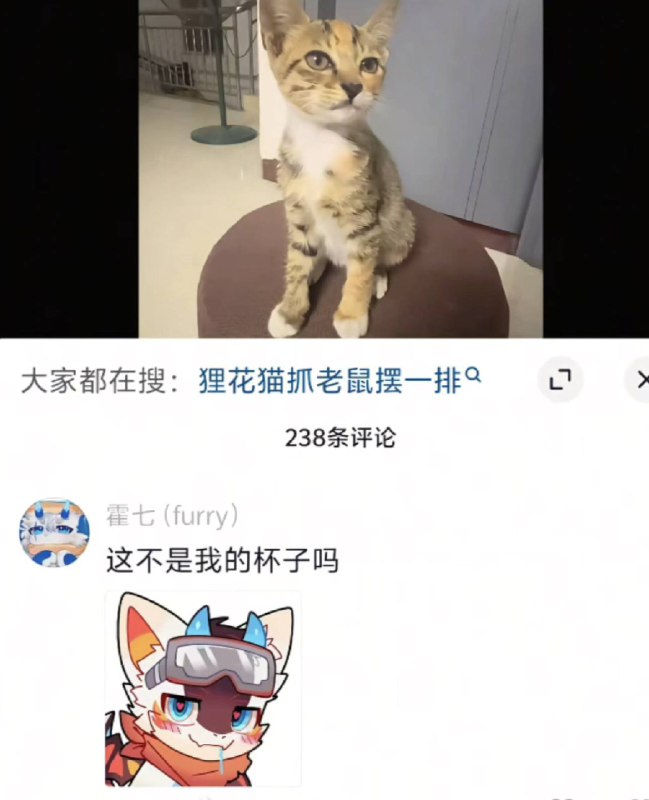 via 犯罪嫌疑人张某