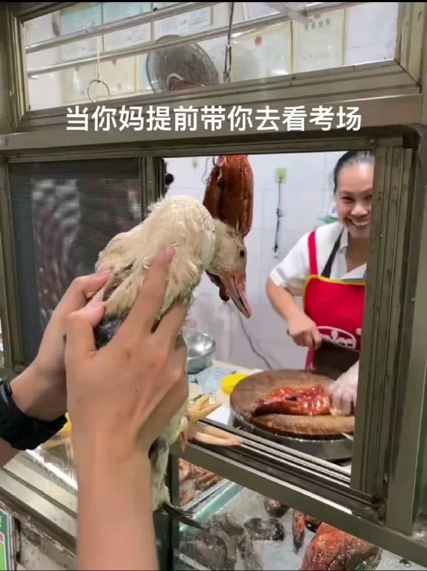 via 6号沙雕网友