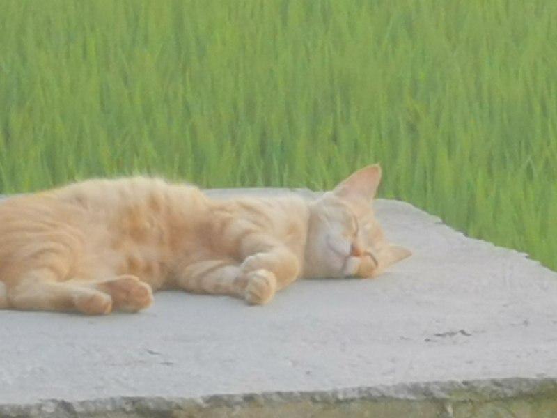 from QQ空间from QQ空间