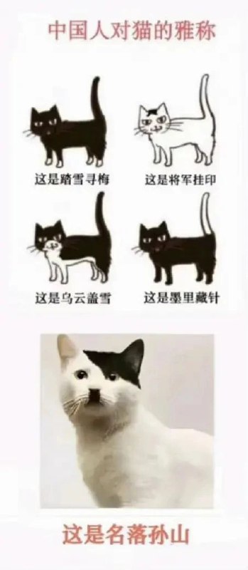 via 醒星幸型