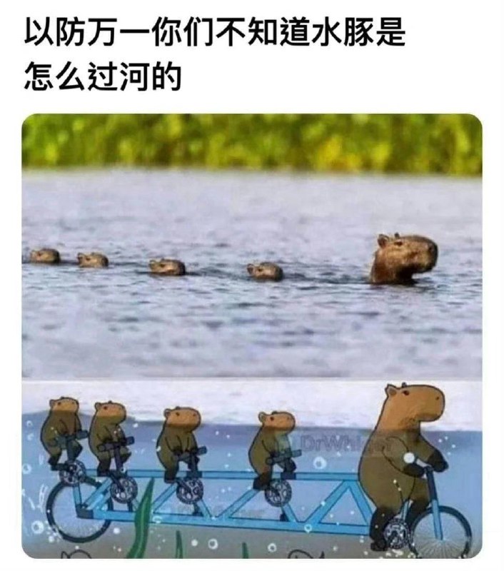 from 亚克力山大