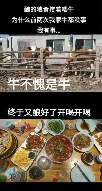 from 红 via 专业 物流from 红 via 专业 物流