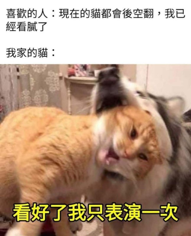 from 什麼都來點 via DECADE