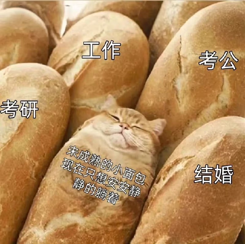 via 6号沙雕网友