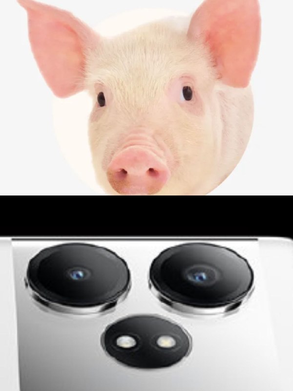 realme gt neo6 se be like