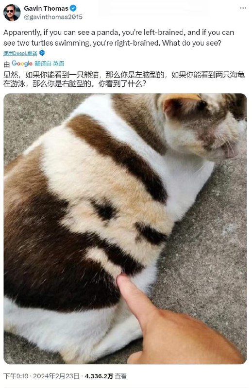 from 猫猫窝🐱from 猫猫窝🐱