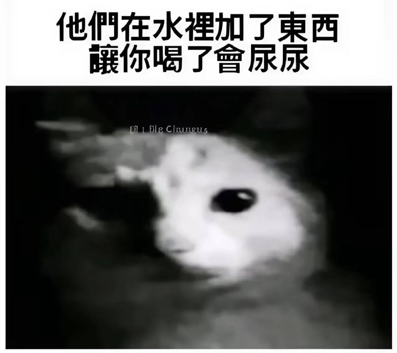 via 犯罪嫌疑人张某