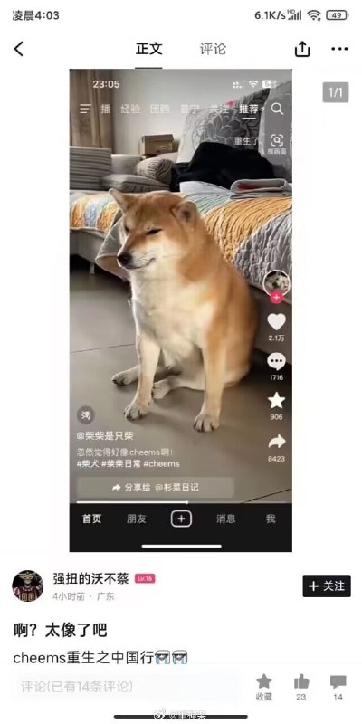 via ㅤ 菜公好酮via ㅤ 菜公好酮
