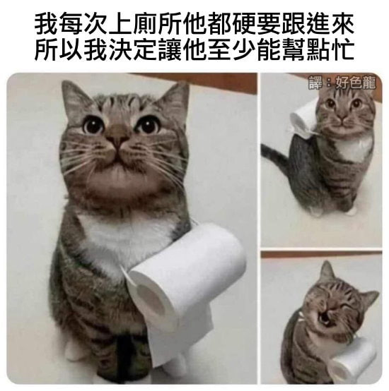 via 油菜花终结者