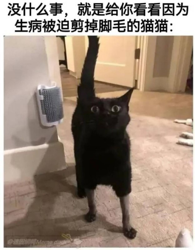 via 8号沙雕网友