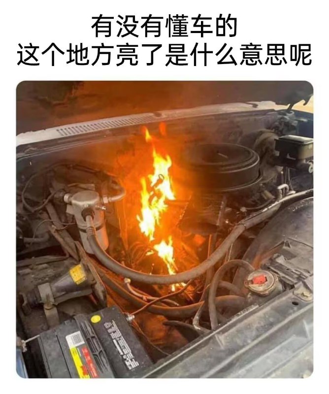 via 8号沙雕网友