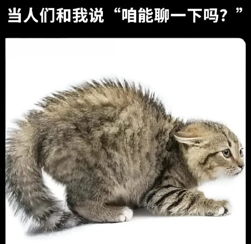 from Anzu什么都发 via electri