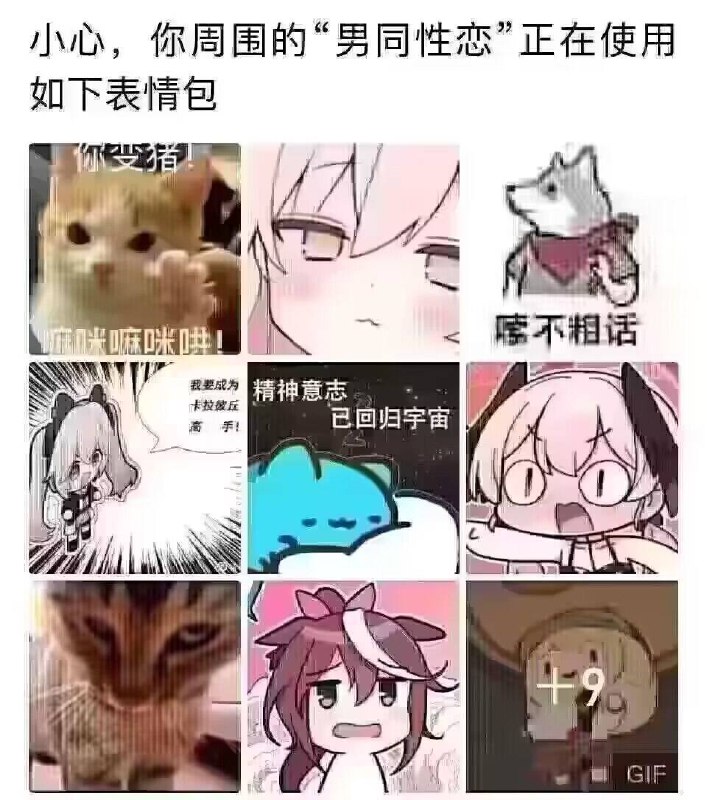 via 犯罪嫌疑人张某