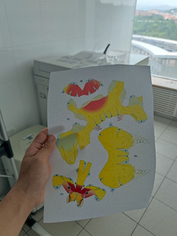 上班无聊就养只纸片鸟，前期比较废手，后期很好养上班无聊就养只纸片鸟，前期比较废手，后期很好养