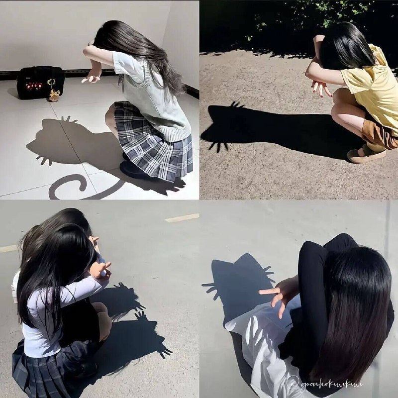 from 猫猫窝🐈🐈‍⬛from 猫猫窝🐈🐈‍⬛