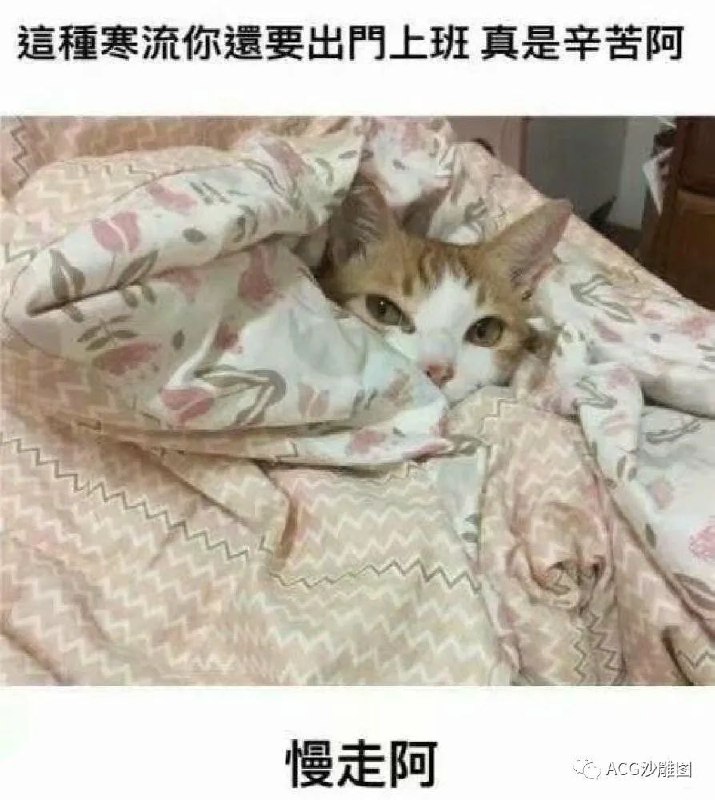 from 煎蛋无聊图