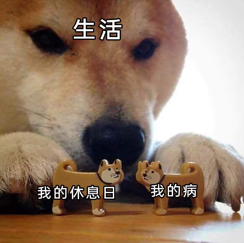 via 7号沙雕网友